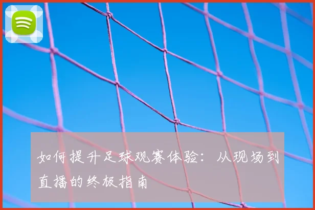 如何提升足球观赛体验：从现场到直播的终极指南