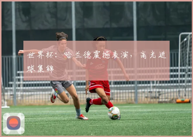 世界杯：哈兰德震撼表演，高光进球集锦
